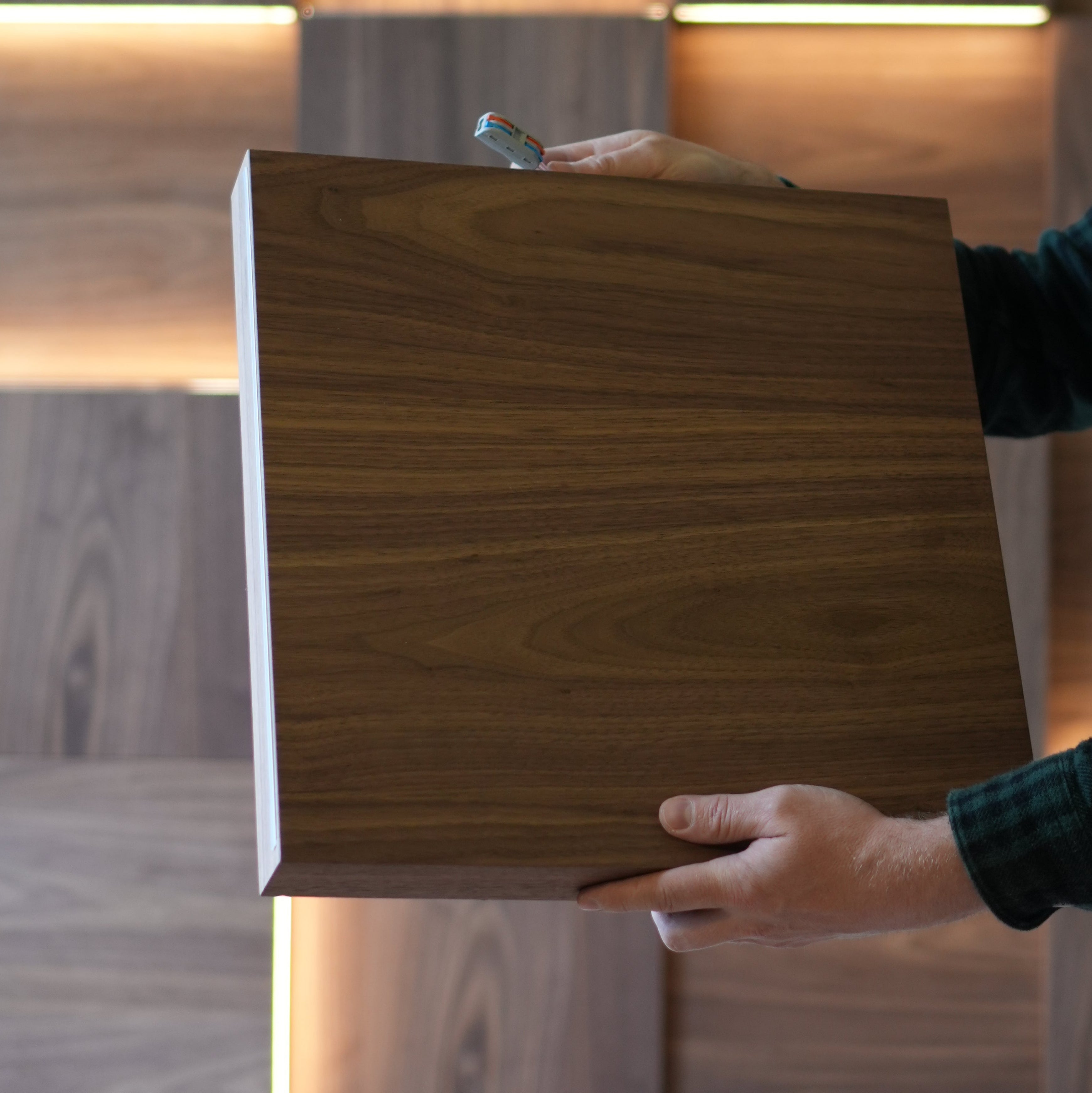 Walnut Wall Panel with Backlight